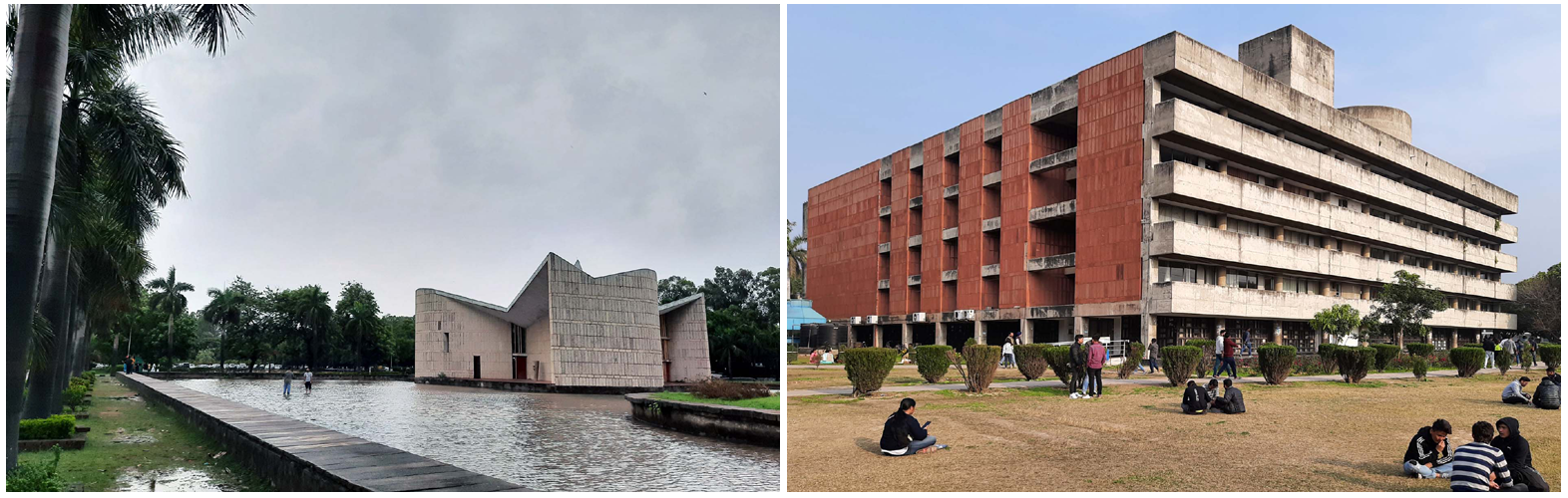 Gandhi Bhawan and Main Library